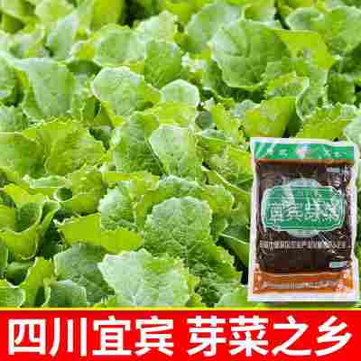 四川宜宾碎米芽菜1000g 烧白咸菜臊子包子馅料小面调味料整箱批发
