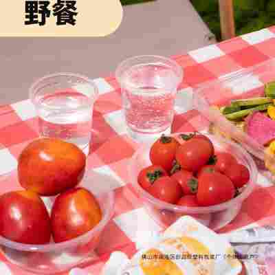 一次性碗筷套装结婚酒席宴席家用聚餐生日宴10人份食品级加厚餐具