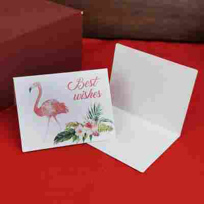 水彩火烈鸟-祝福款