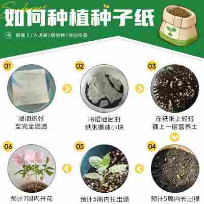 种子纸定制可降解请柬演唱会票根活动感谢卡抽奖券异形创意明信片