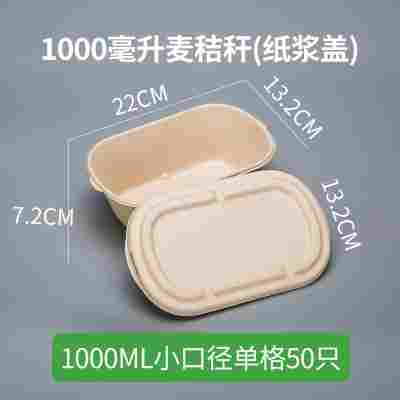 轻食沙拉盒一次性纸浆打包盒可降解餐盒外卖盒健身环保快餐盒饭盒