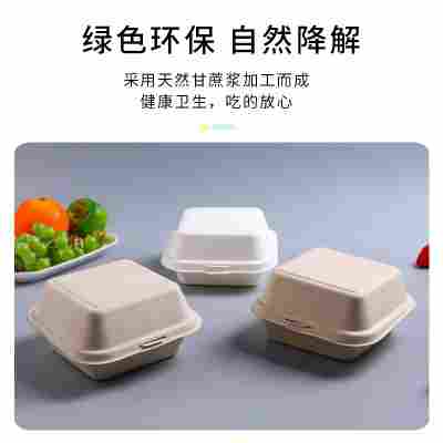 小吃网红一次性纸浆汉堡盒固体杨枝甘露外卖打包盒餐盒野餐涂鸦