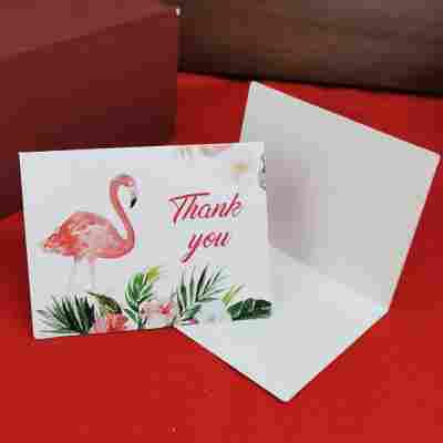 水彩火烈鸟-感谢款